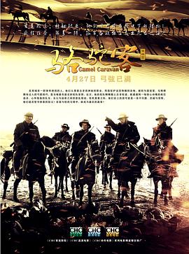 光影碎片